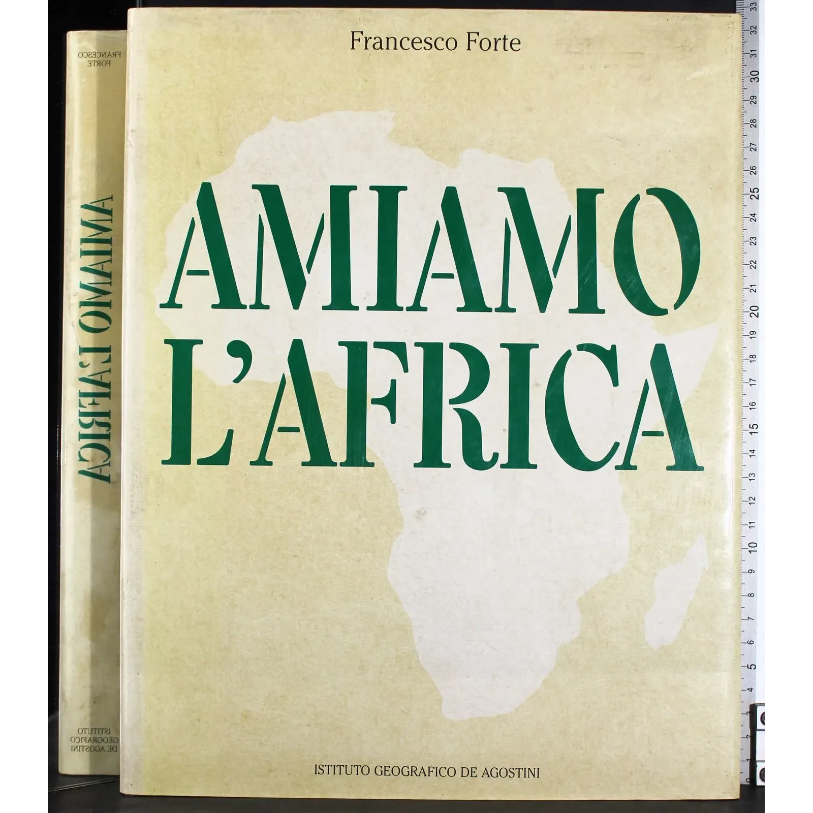 Amiamo l'africa