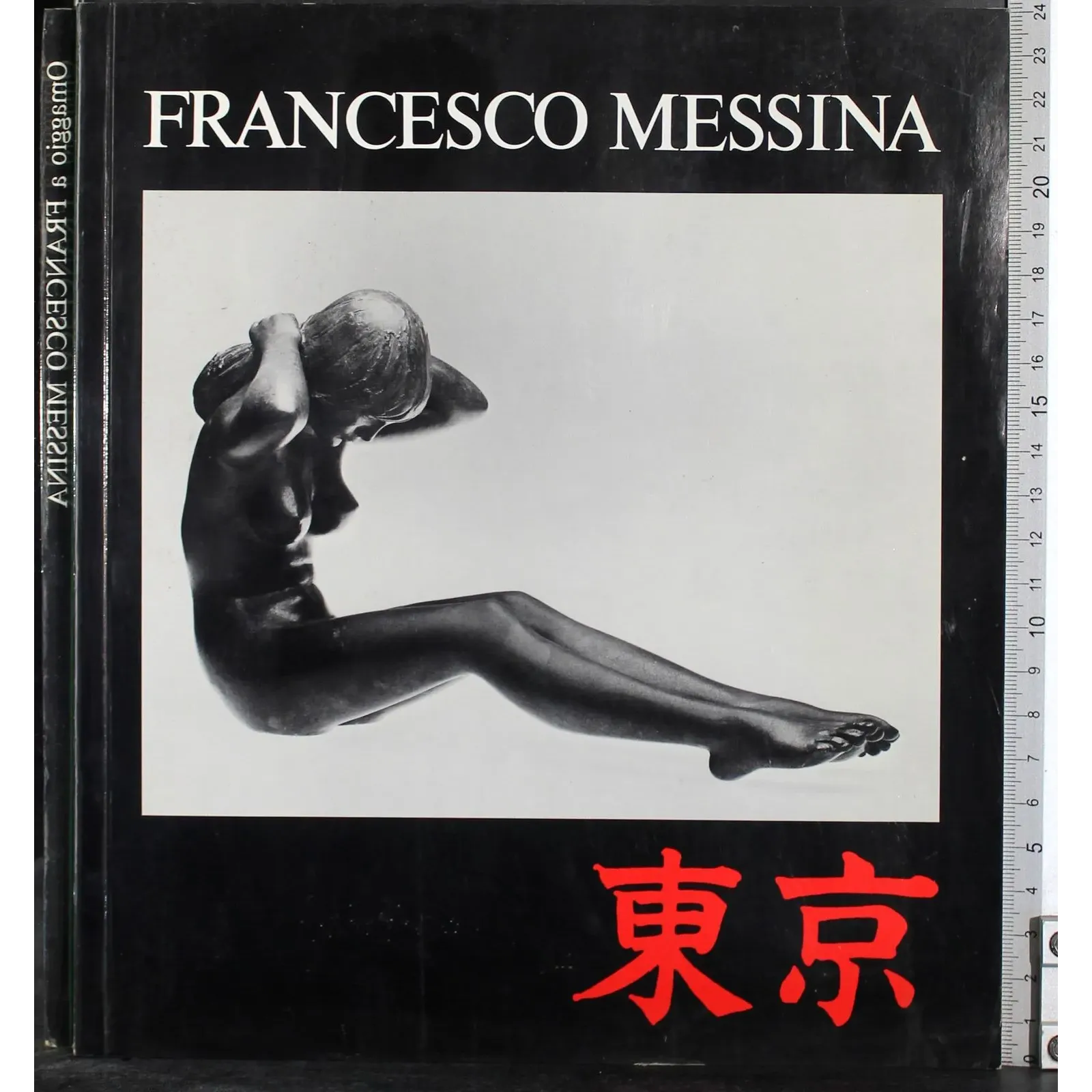Omaggio a Francesco Messina