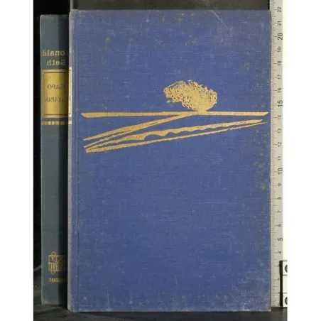 Capo Matapan. Due flotte sorprese