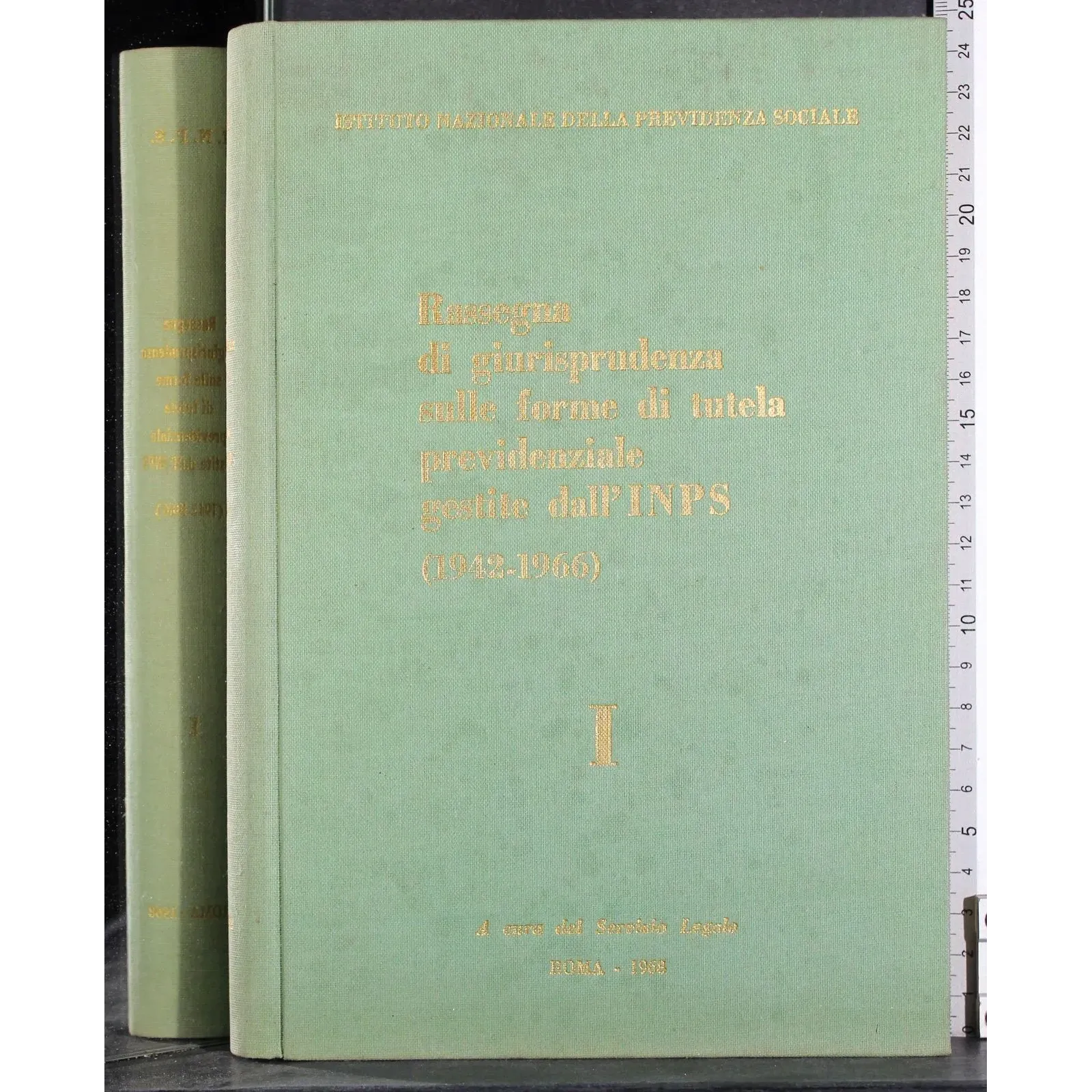 Rassegna di Giurisprudenza sulla tutela Previdenziale Vol I