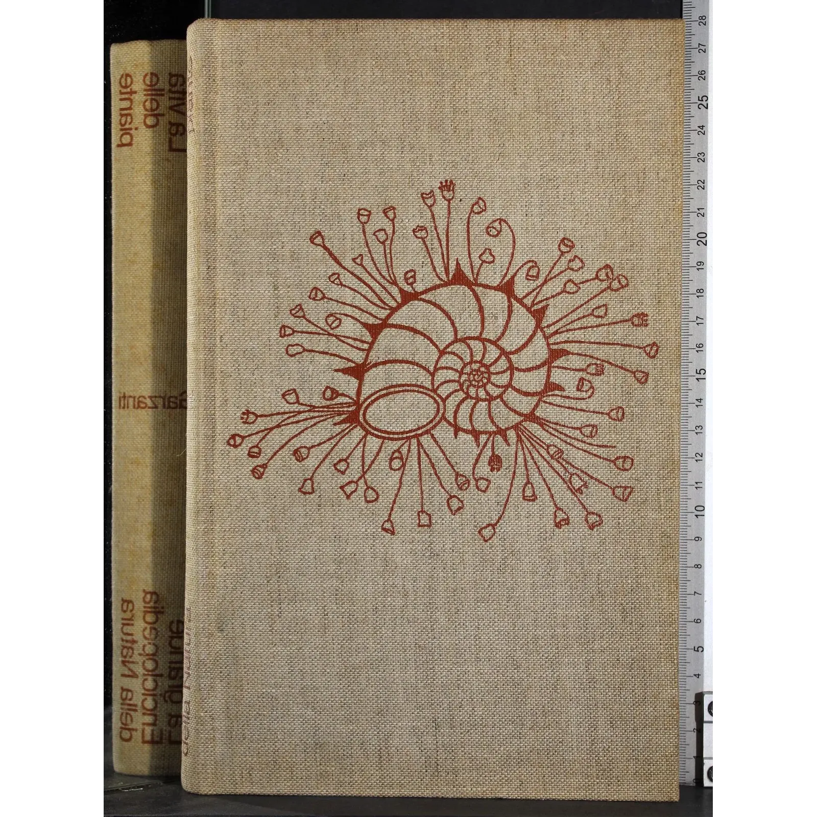 Enciclopedia della Natura 4. La vita delle piante