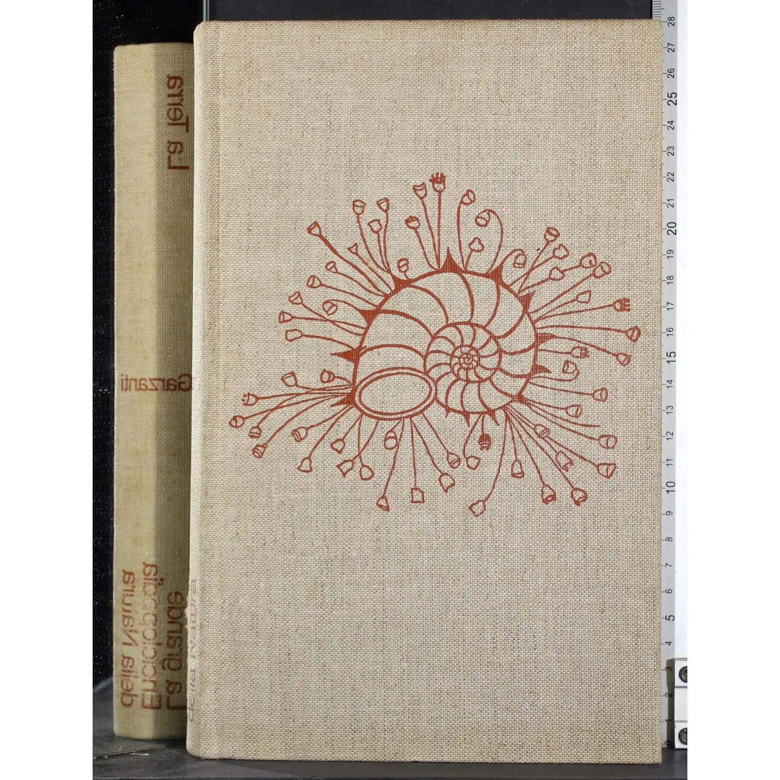 Enciclopedia della Natura 1. La terra