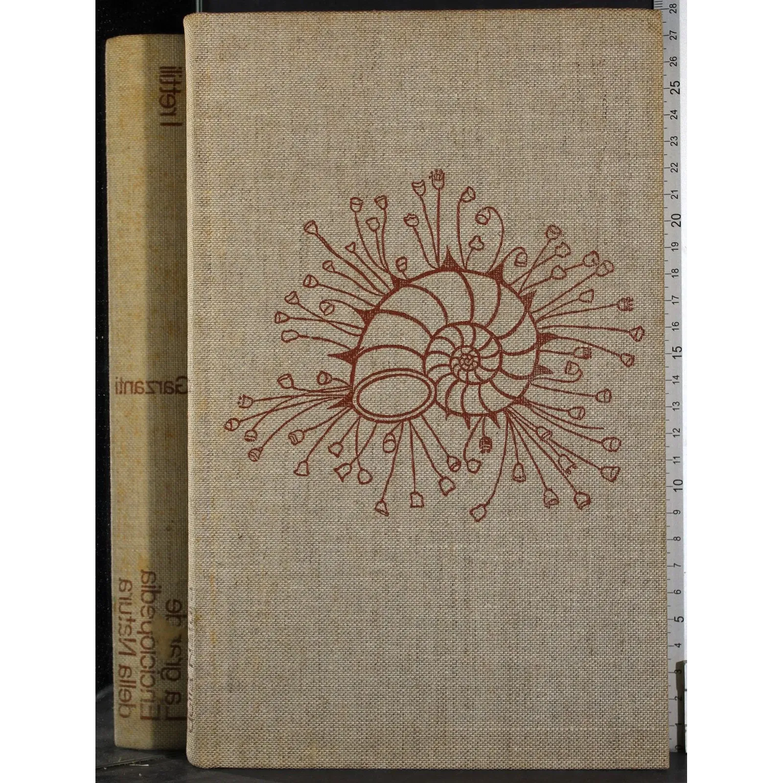 Enciclopedia della Natura 10. I rettili