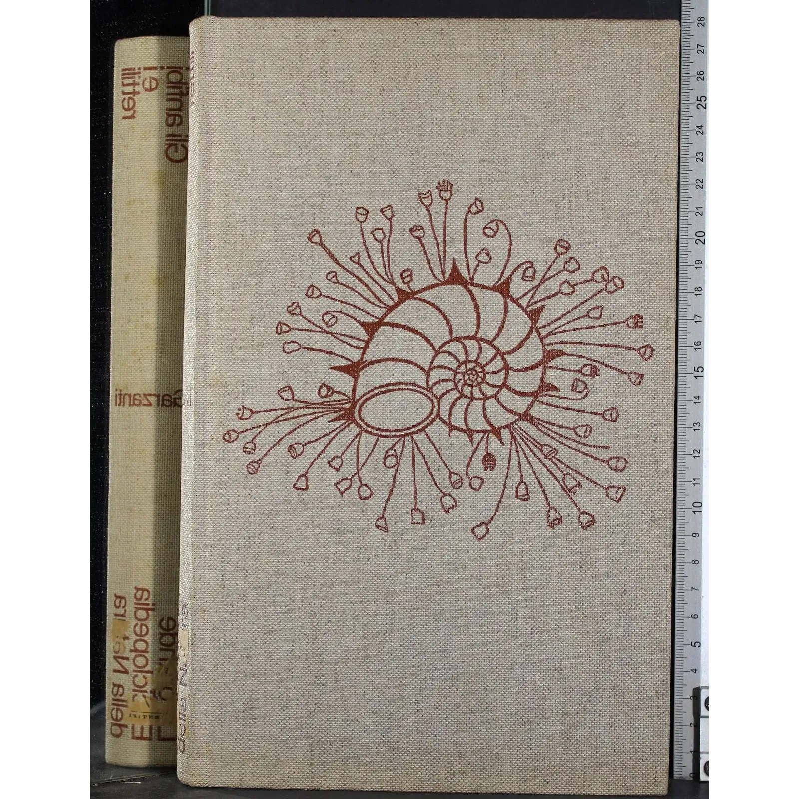 Enciclopedia della Natura 9. Gli anfibi e i rettili