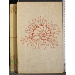 Enciclopedia della Natura 6. La vita degli insetti