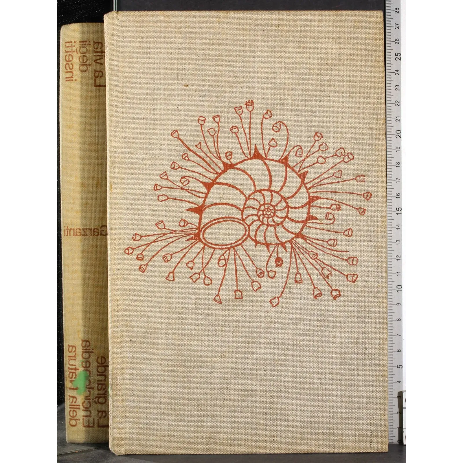 Enciclopedia della Natura 6. La vita degli insetti