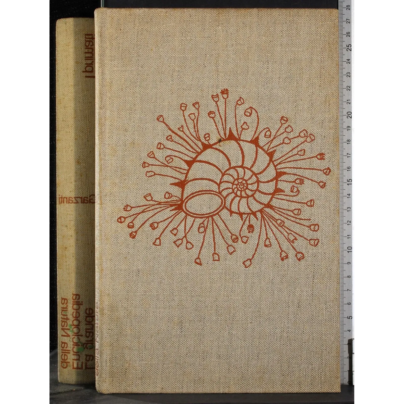 Enciclopedia della Natura 15. I Primati