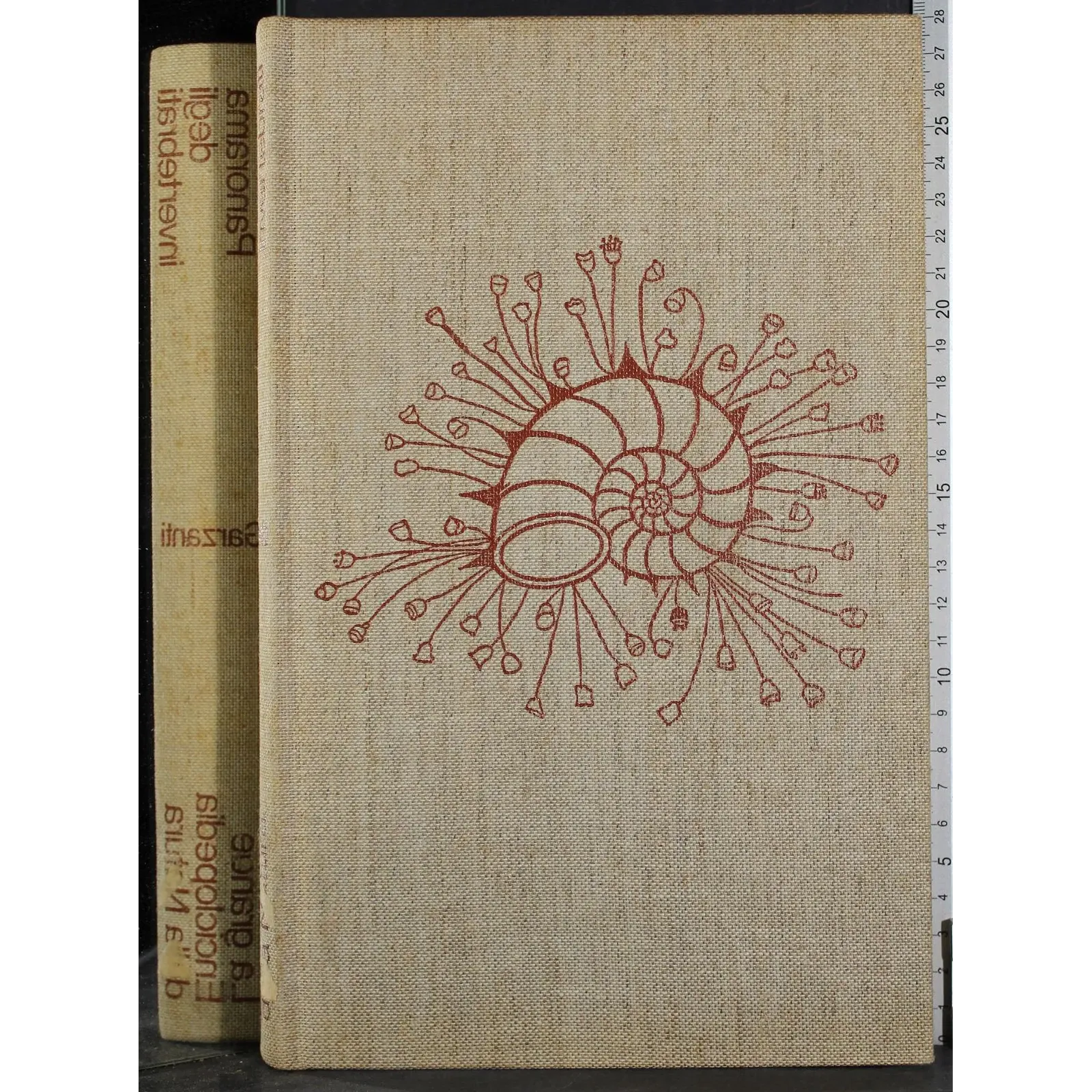 Enciclopedia della Natura 5. Panorama degli invertebrati