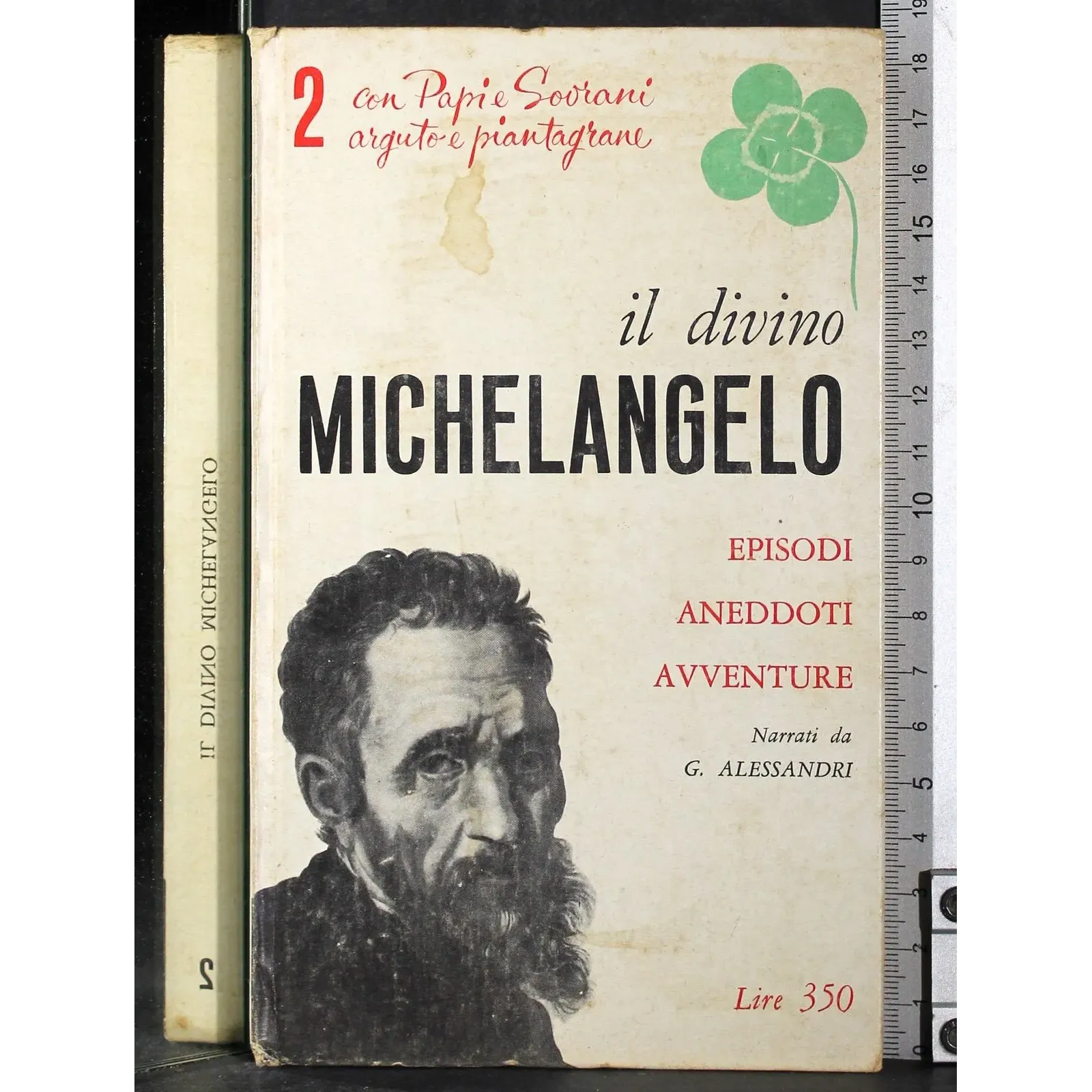 Il divino Michelangelo