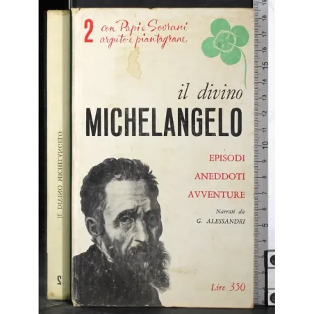 Il divino Michelangelo