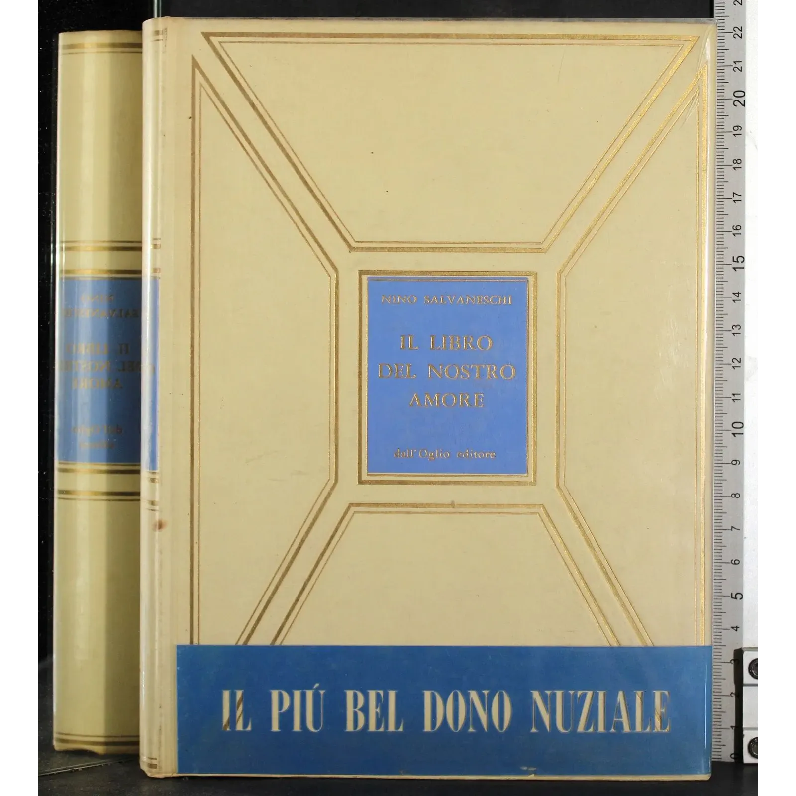 Il libro del nostro amore