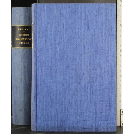 Diritto processuale civile