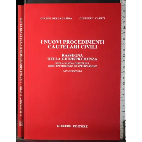 I nuovi procedimenti cautelari civili