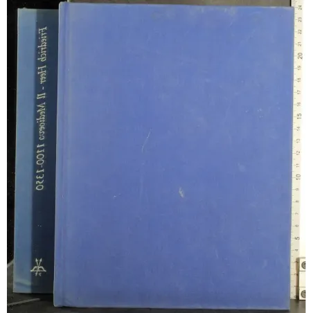 Il Medioevo 1100-1350