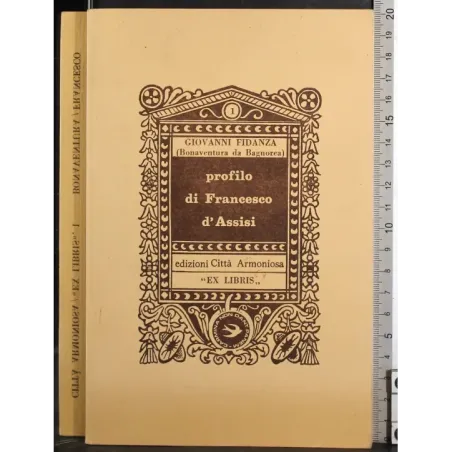 Profilo di Francesco d'Assisi