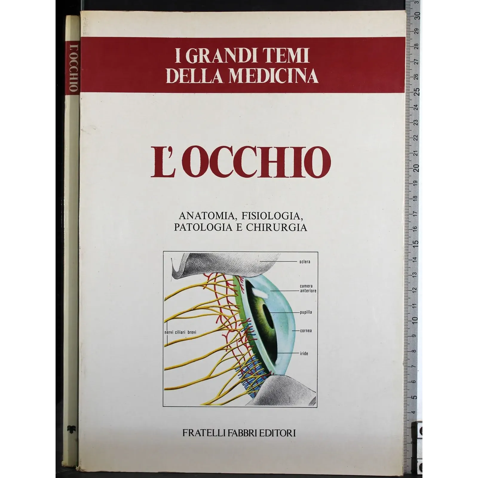 Grandi temi della medicina. L'occhio