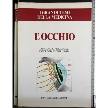 Grandi temi della medicina. L'occhio