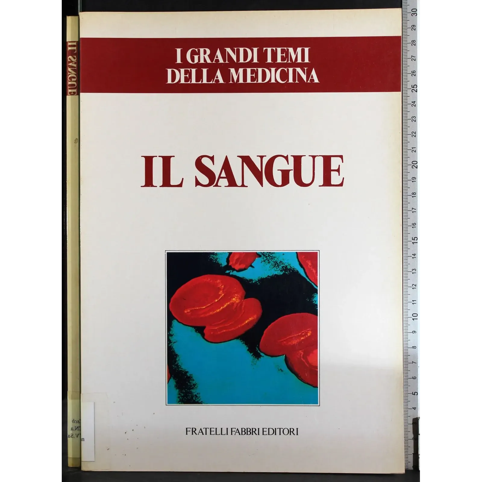 Grandi temi della medicina. Il sangue