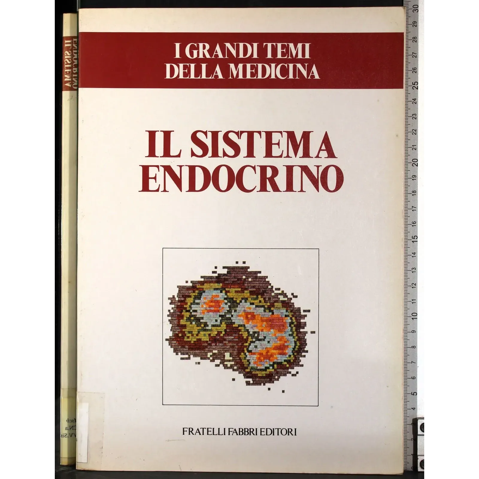 Grandi temi della medicina. Il sistema endocrino