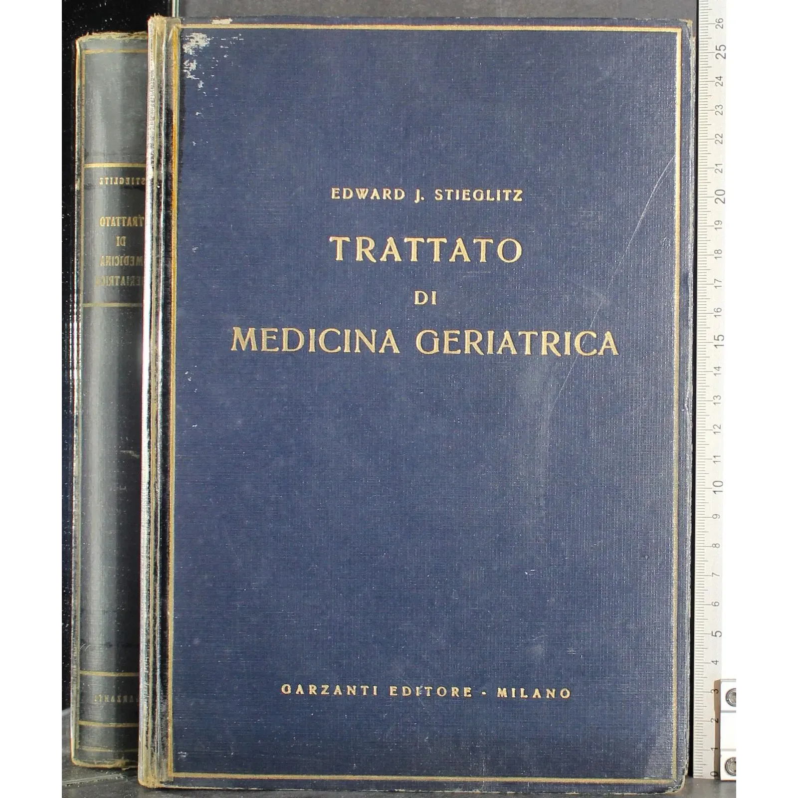 Trattato di medicina geriatrica