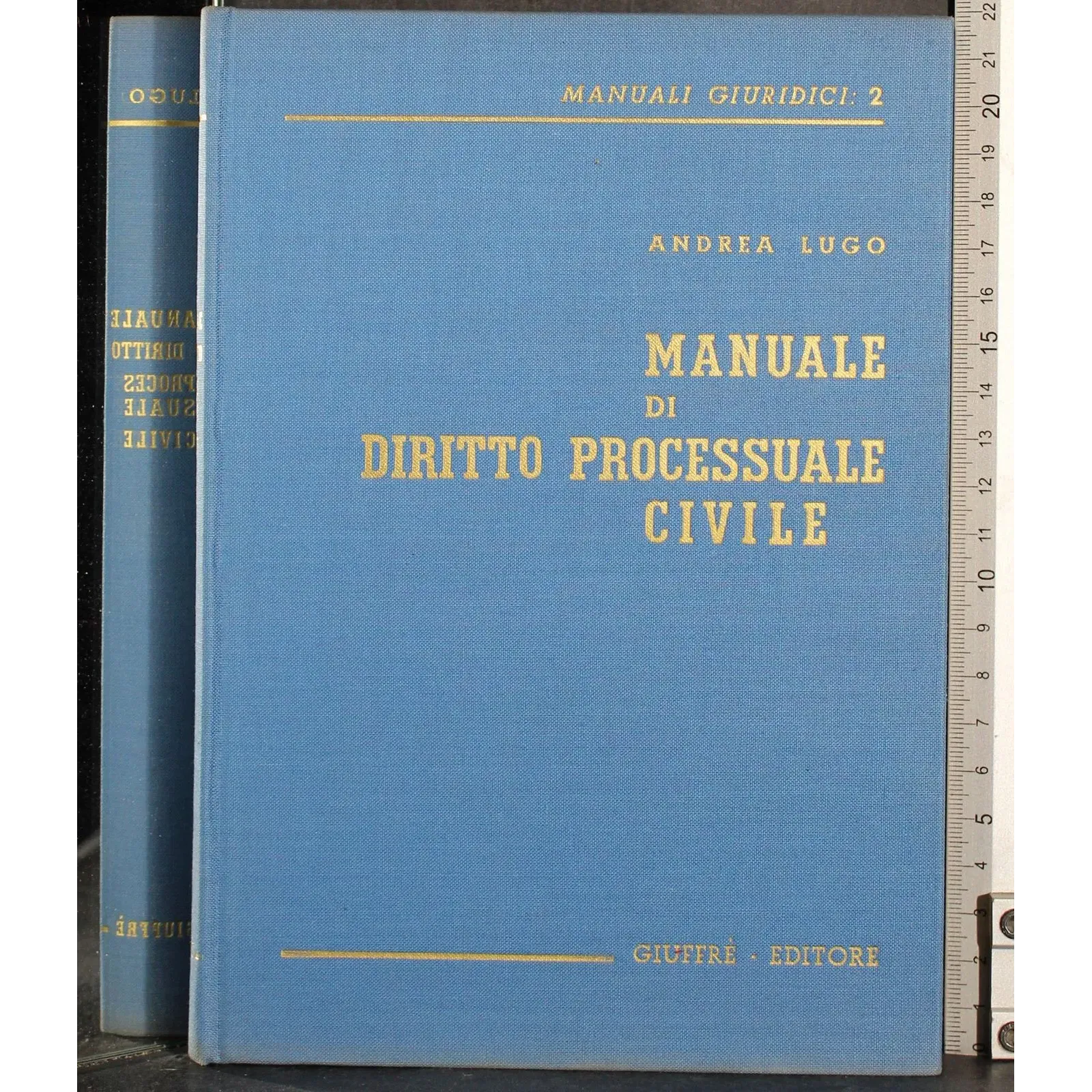 Manuale di diritto processuale civile