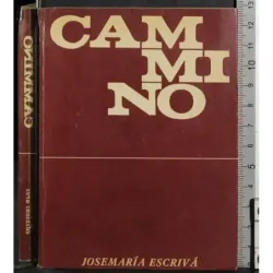Cammino
