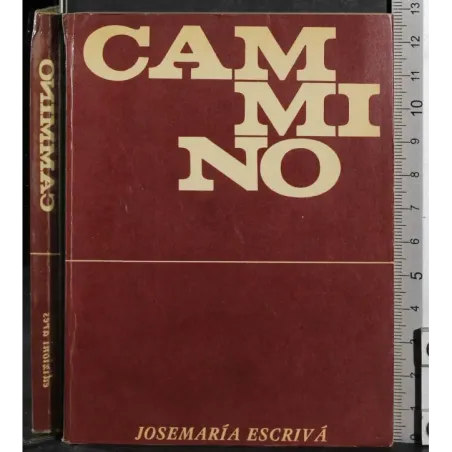 Cammino