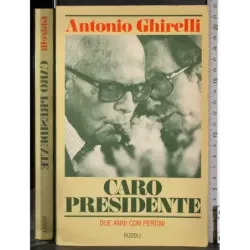 Caro presidente. Due anni con Pertini