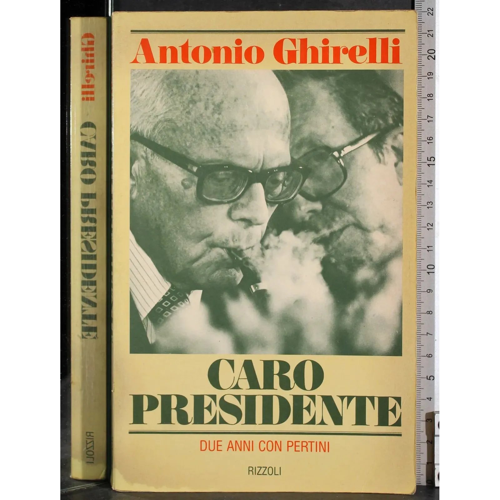 Caro presidente. Due anni con Pertini