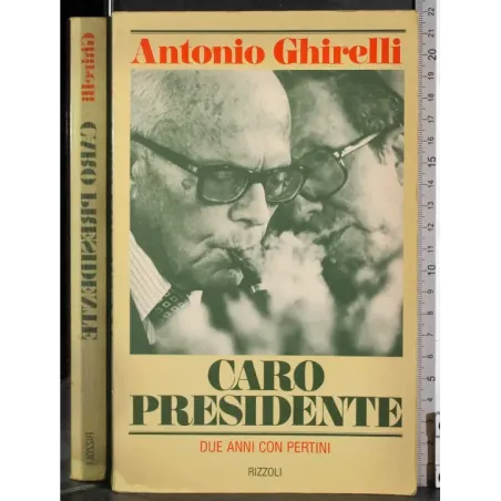 Caro presidente. Due anni con Pertini