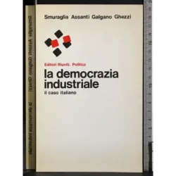 La democrazia industriale