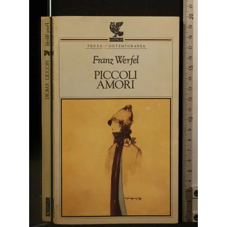 PICCOLI AMORI