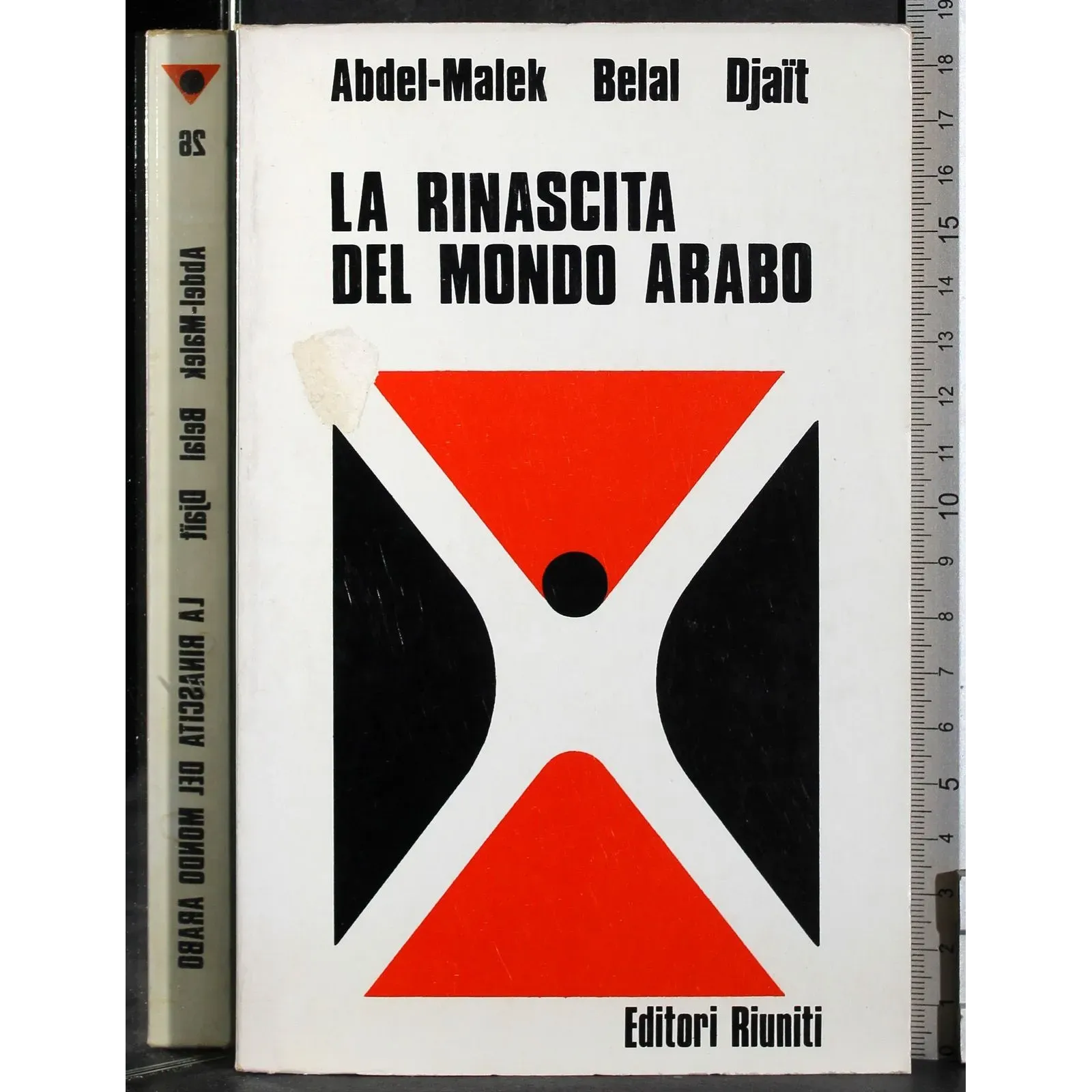 La rinascita del mondo arabo