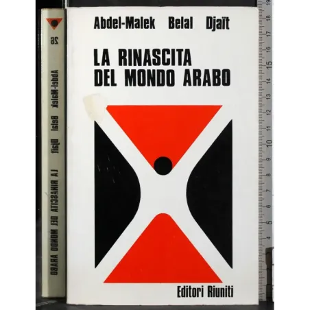 La rinascita del mondo arabo