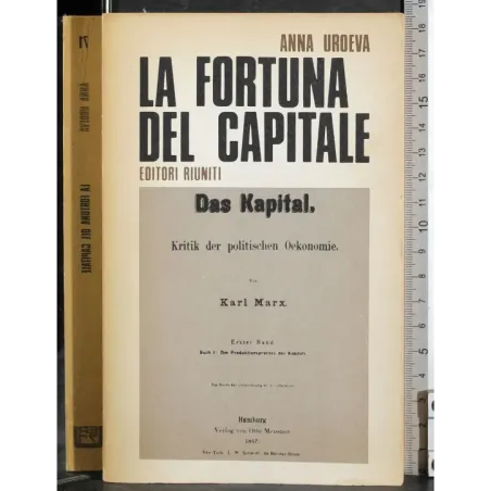 La fortuna del capitale