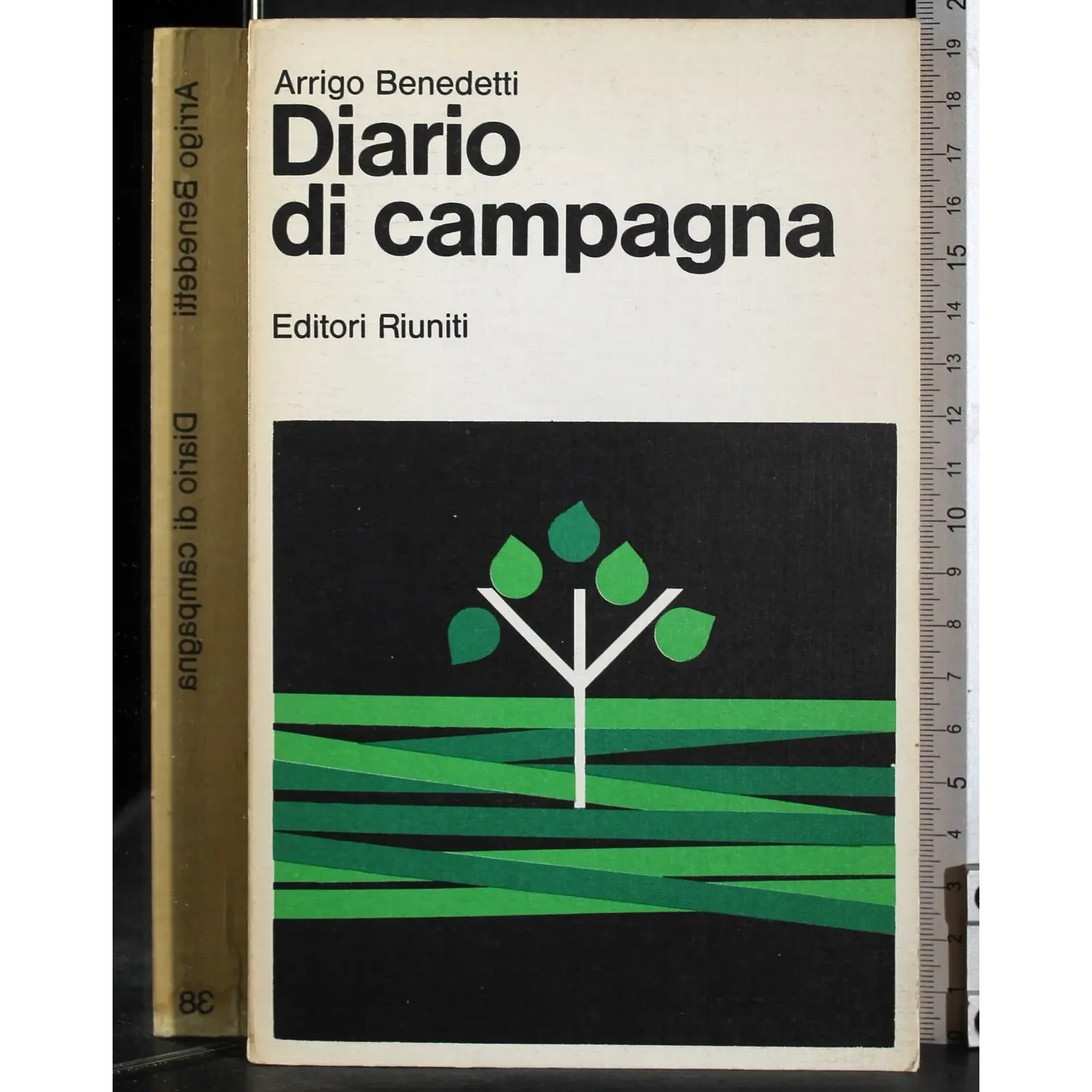 Diario di campagna