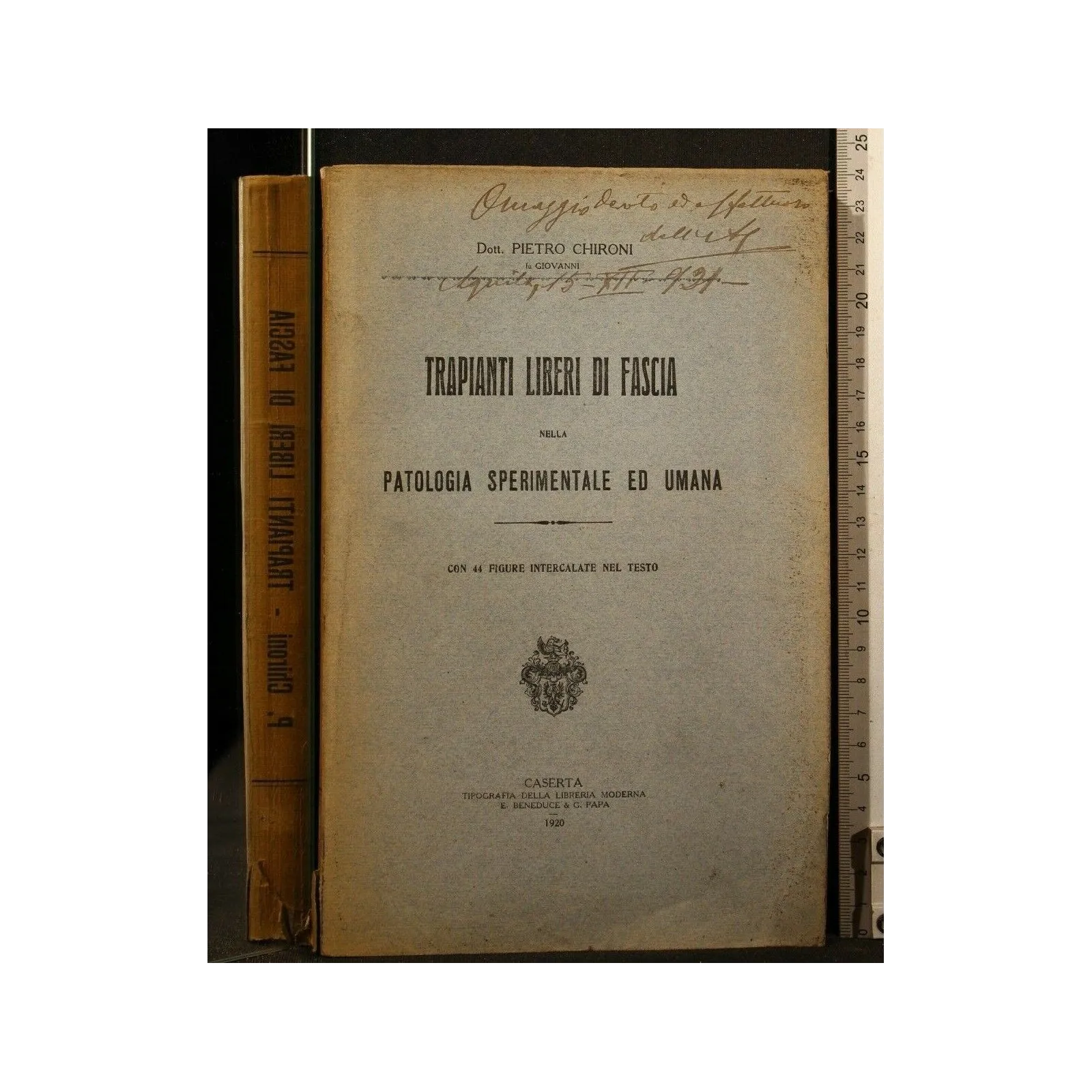 TRAPIANTI LIBERI DI FASCIA NELLA PATOLOGIA SPERIMENTALE ED UMANA