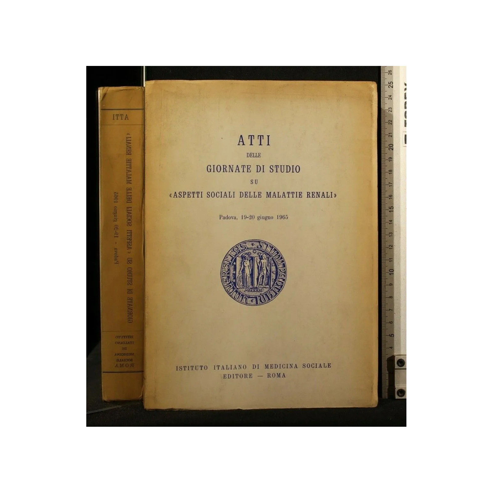 ATTI DELLE GIORNATE DI STUDIO SU ASPETTI SOCIALI DELLE MALATTIE