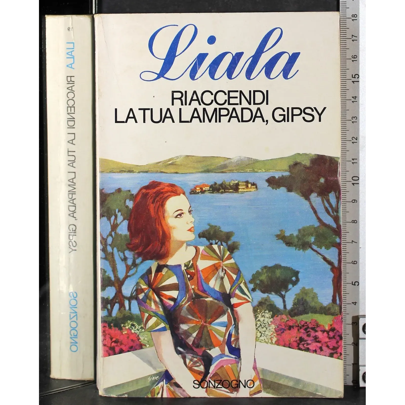 Riaccendi la tua lampada Gipsu