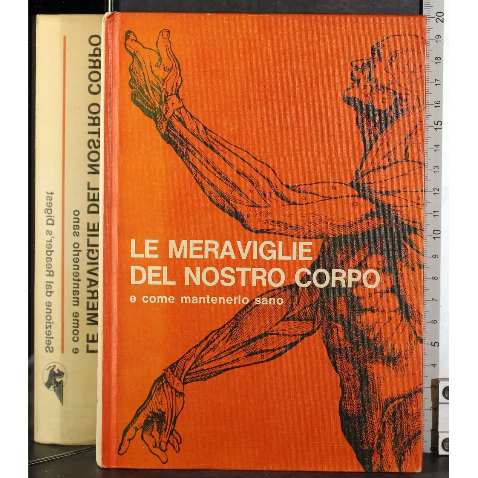 Le meraviglie del nostro corpo