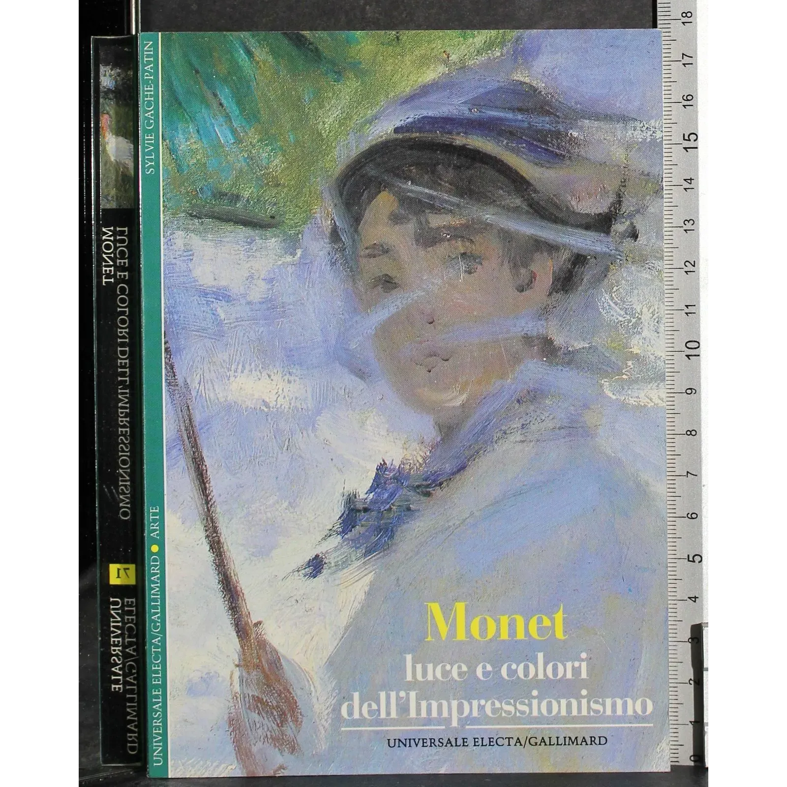 Monet luci e colori dell'impressionismo