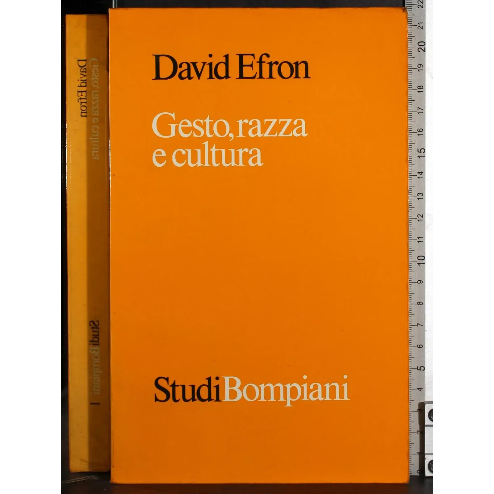 Gesto,razza e cultura