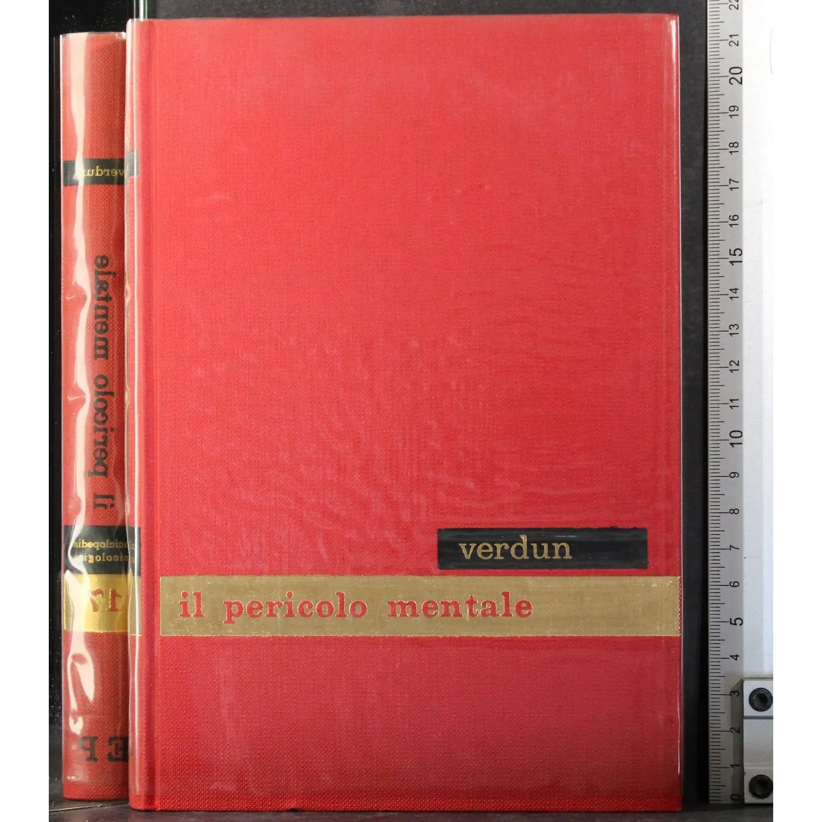 Enciclopedia psicologica 17. Il pericolo mentale