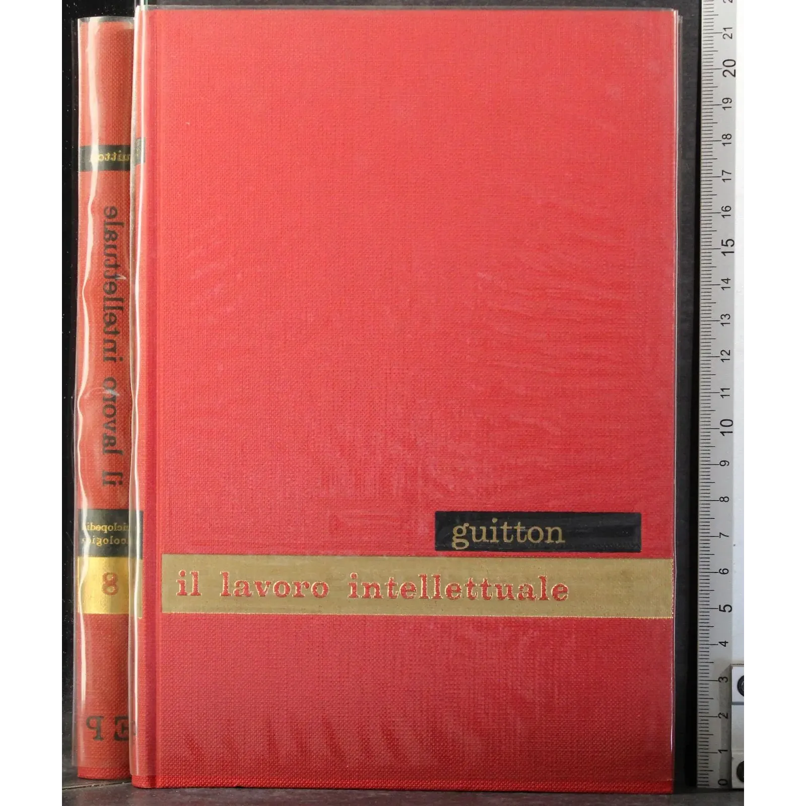 Enciclopedia psicologica 8. Il lavoro intellettuale