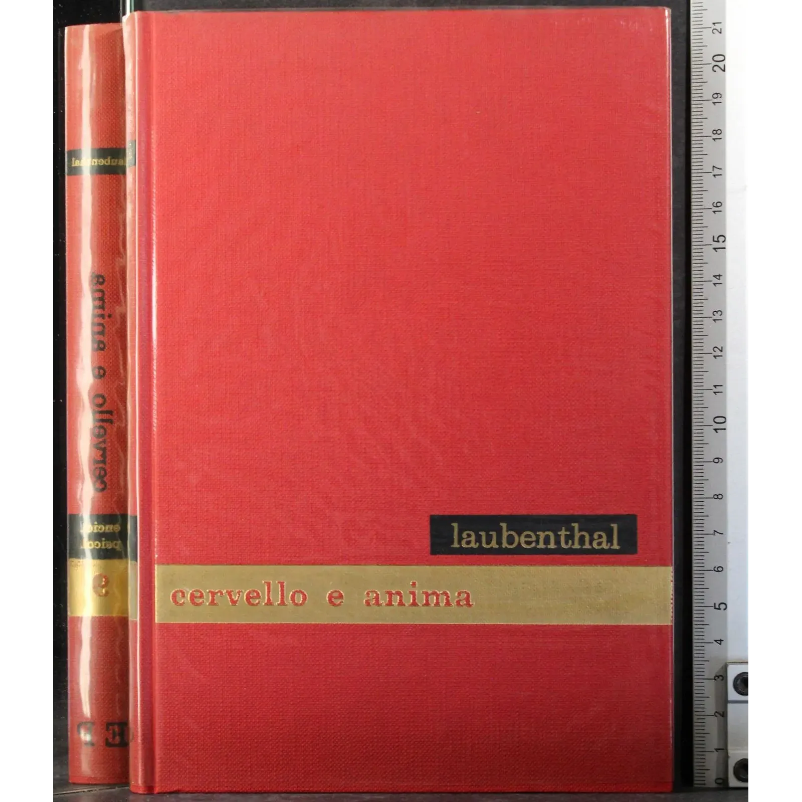 Enciclopedia psicologica 9. Cervello e anima