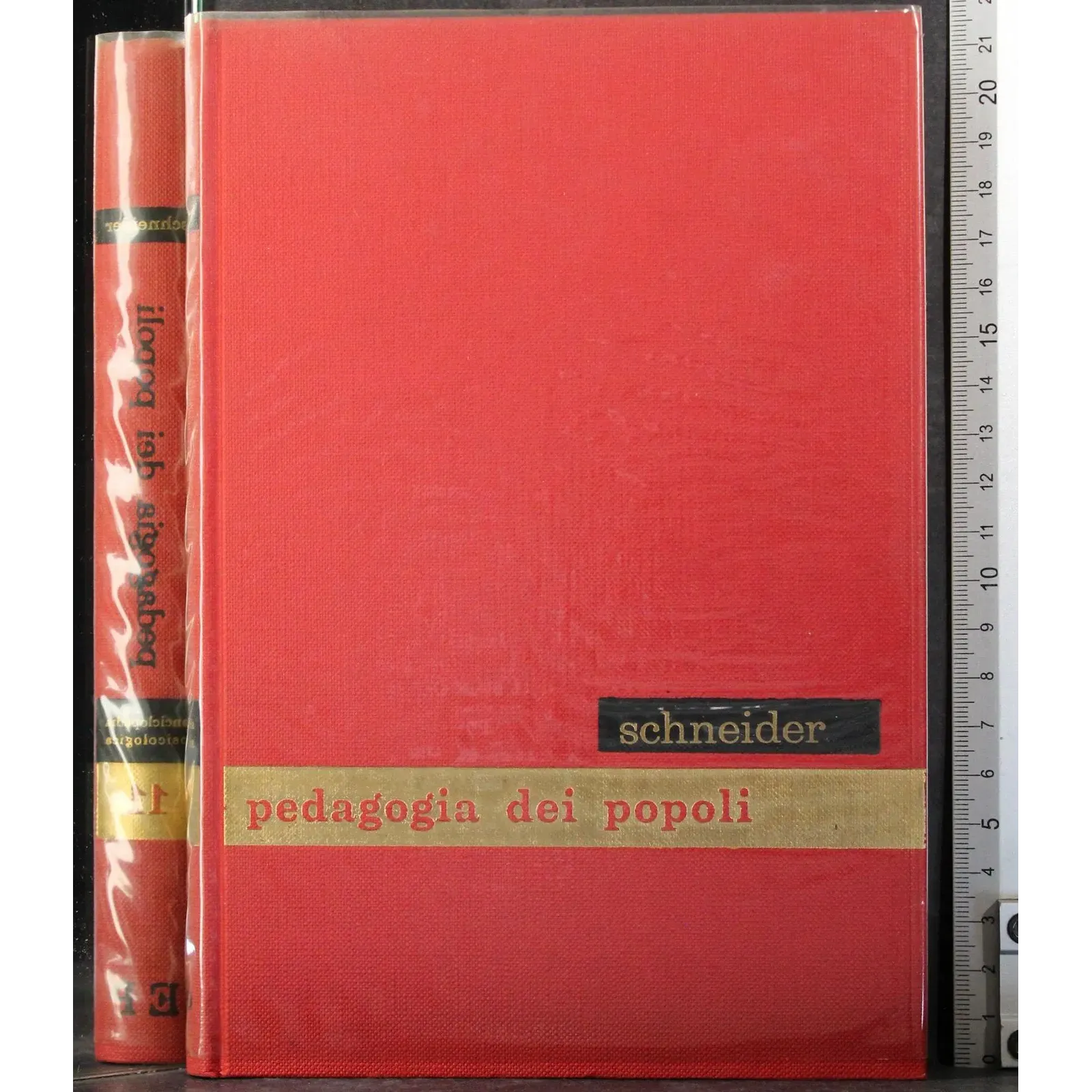 Enciclopedia psicologica 11. Pedagogia dei popoli