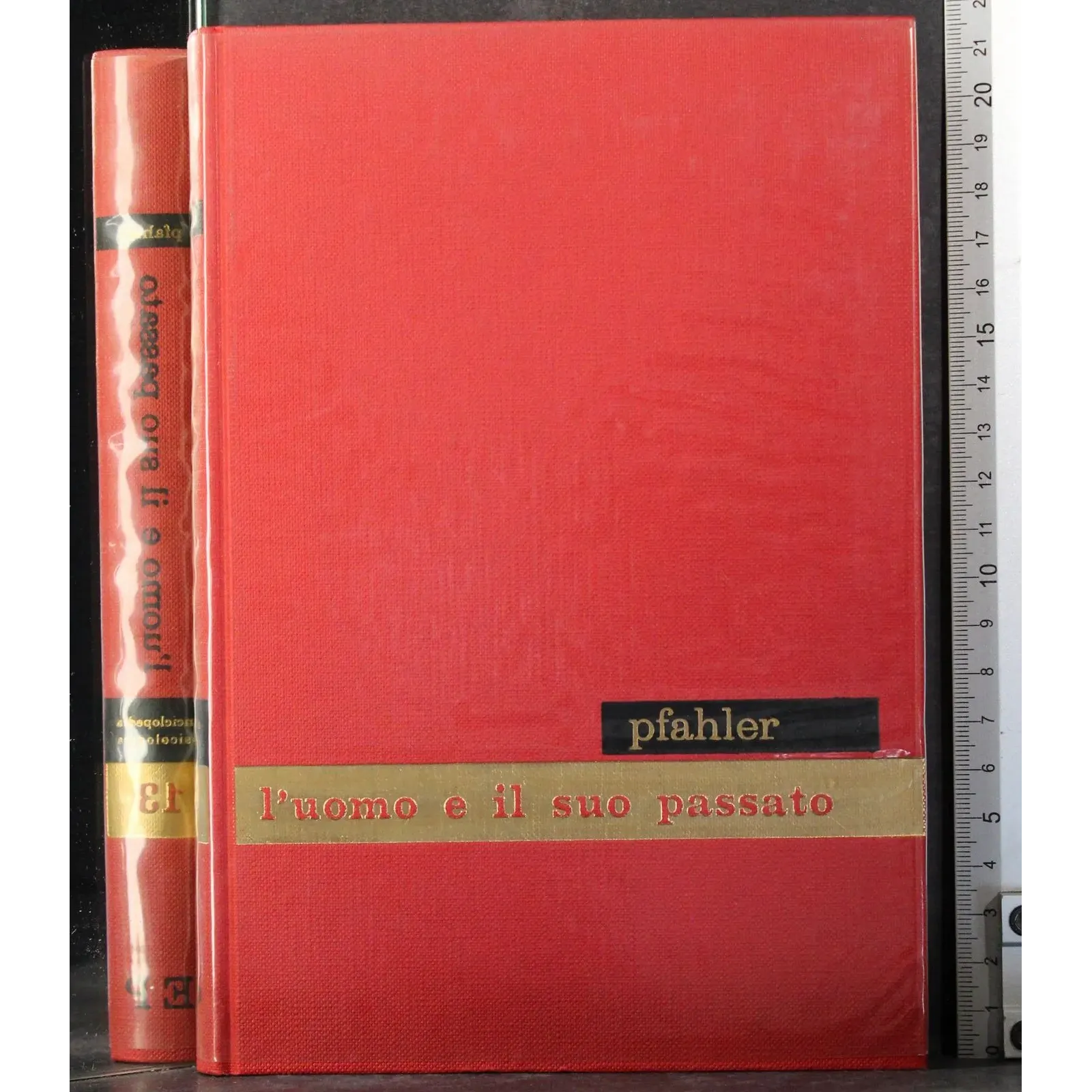 Enciclopedia psicologica 13. L'Uomo e il suo passato