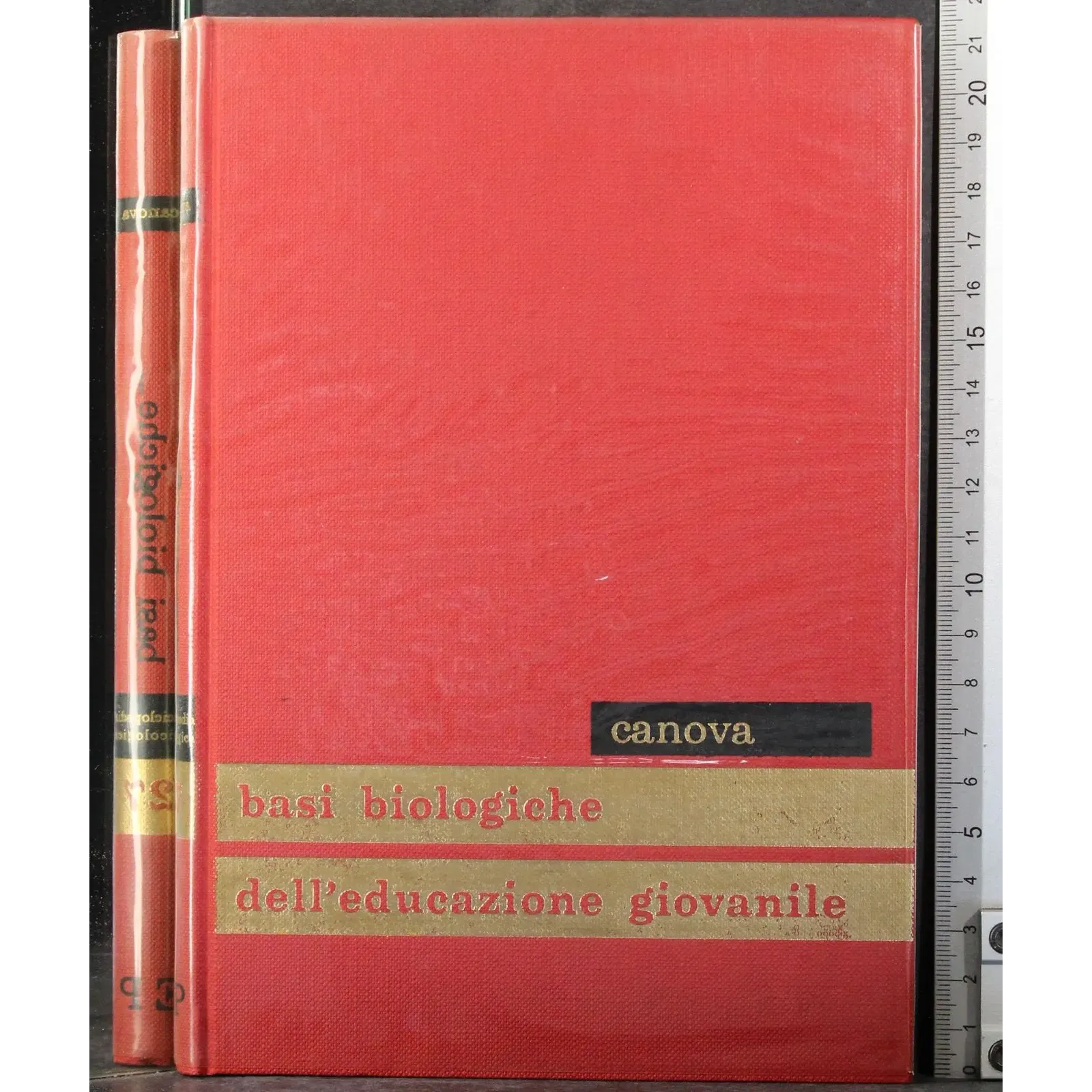 Enciclopedia psicologica 27. Basi Biologiche educazione giovanile