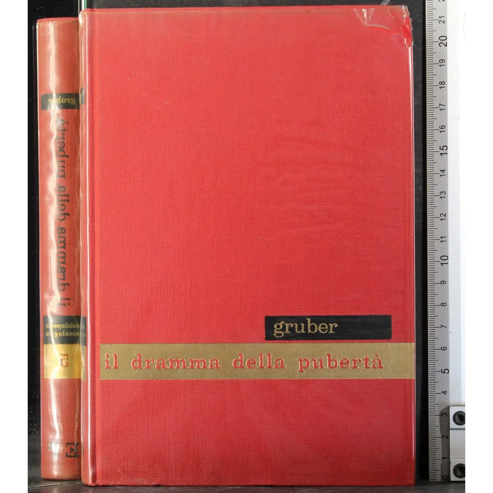 Enciclopedia psicologica 5. Il dramma della pubertà