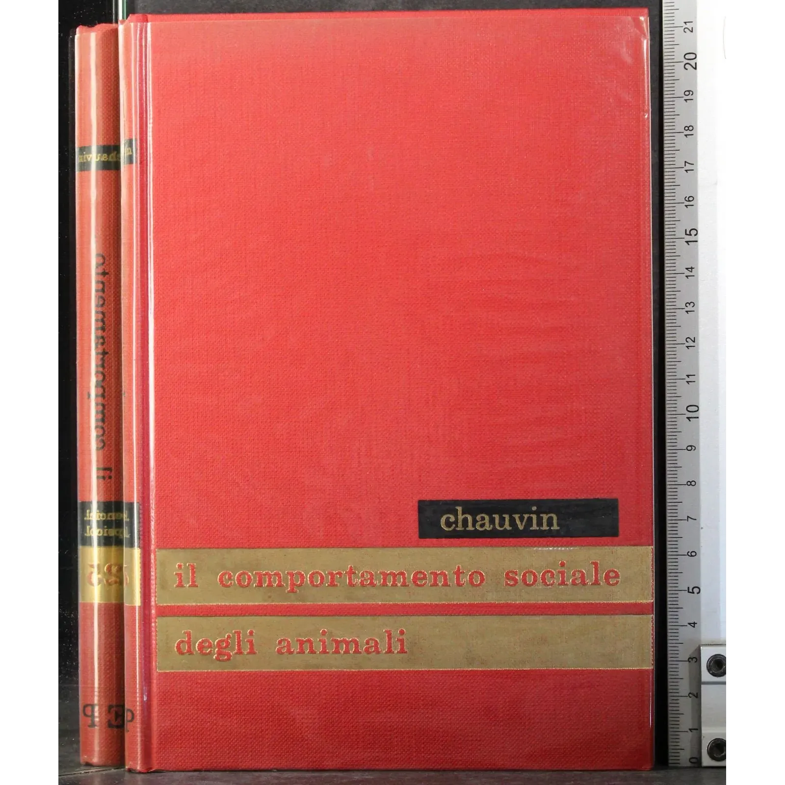 Enciclopedia psicologica 25. Comportamneto sociale degli animali